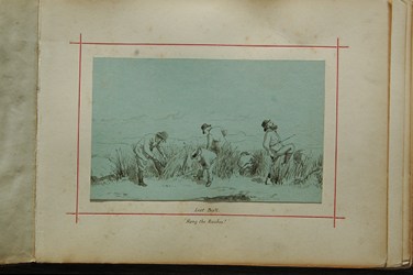 TGC-A017-a